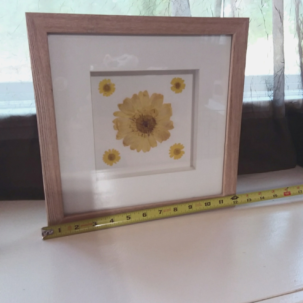 Adorable Yellow Flower Shadowbox Framed Art